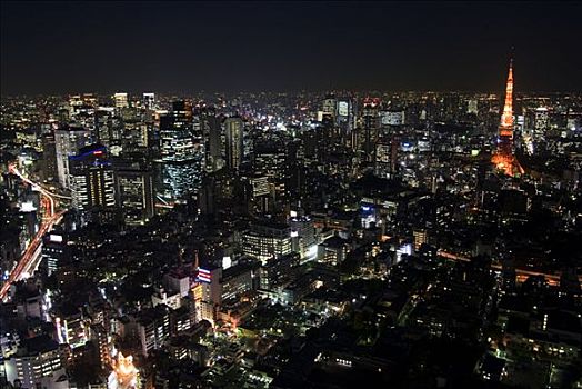 日本,东京,东京塔,城市灯光,注视,平台