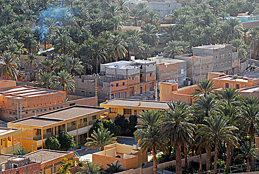 algeria,ben,isguen,elevated,view,of,historic,houses,by,trees,in,a,village