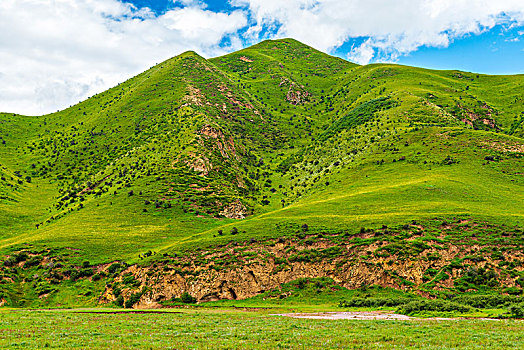 川西高原草原牧场山坡