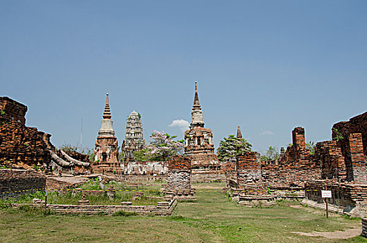 泰国,大城府,玛哈泰寺,寺院,历史,皇家,传统,契迪,佛塔,庙宇,远景