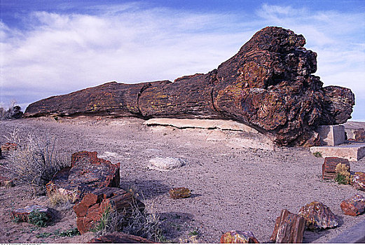 石化森林国家公园,亚利桑那,美国