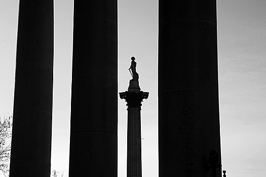 剪影,纪念,纳尔逊纪念柱,特拉法尔加广场,威斯敏斯特,伦敦,英格兰