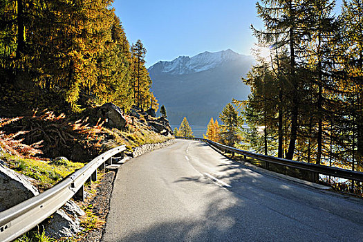 道路,湖,恩加丁,瑞士