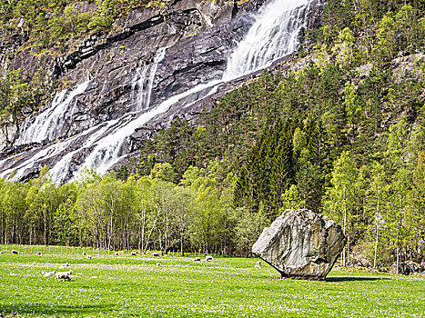 一个,大,石头,农田,瀑布,背影,绵羊,南,挪威