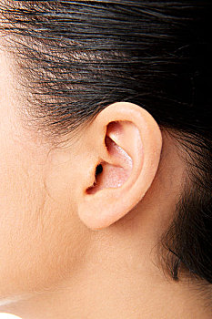 耳朵图片