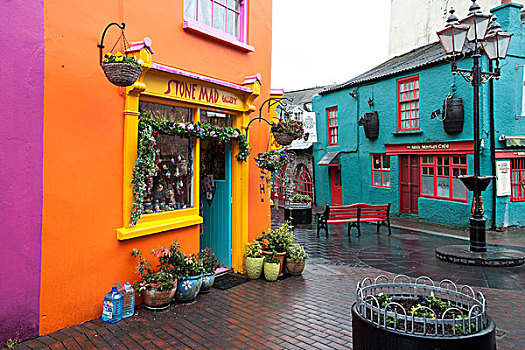 花店,彩色,房子,科克郡,爱尔兰,欧洲