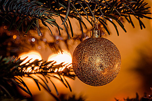 金色,圣诞球,闪光,悬挂,树