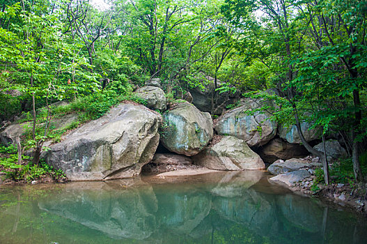 夏季森林中巨大的石块和小湖泊