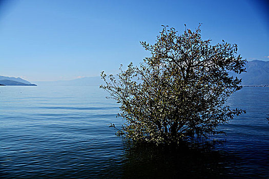 大理洱海