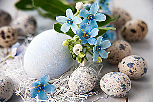 复活节彩蛋,鹌鹑蛋,花