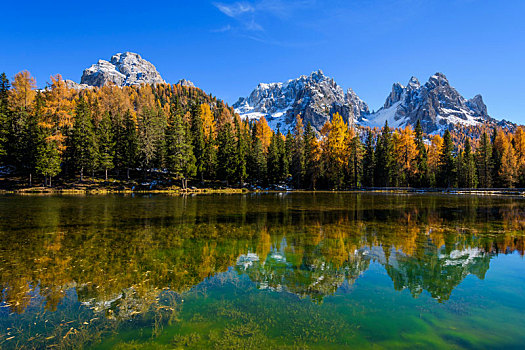 湖,反射,秋天,地区,威尼托,白云岩,意大利,欧洲
