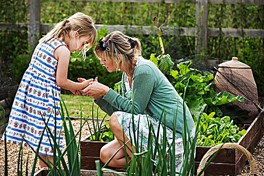 女人,跪着,花园,蔬菜,床,看,手,女孩,旁侧
