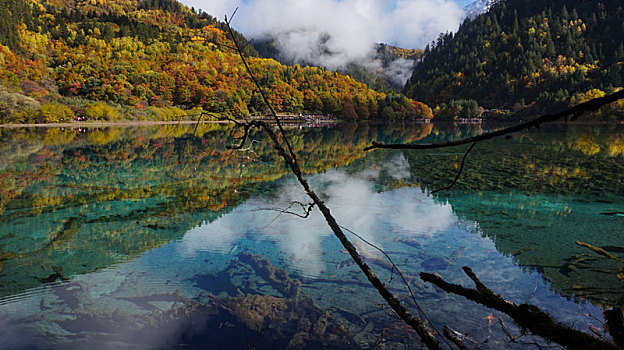 九寨沟风景之秋景