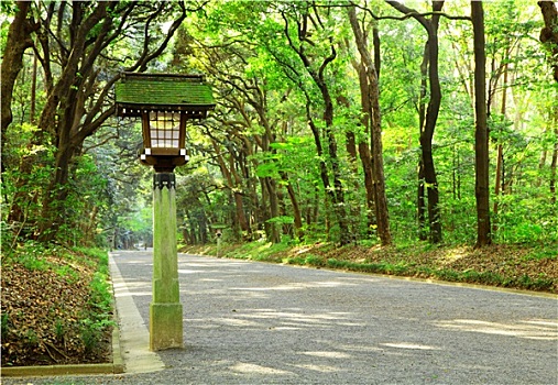小路,日式庭园