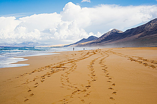 脚印,海滩,科拉莱霍,富埃特文图拉岛,加纳利群岛