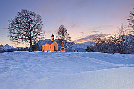圣诞树,小教堂,巴伐利亚,德国