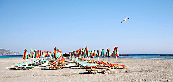 沙滩伞,太阳椅,克里特岛,动感,海鸥