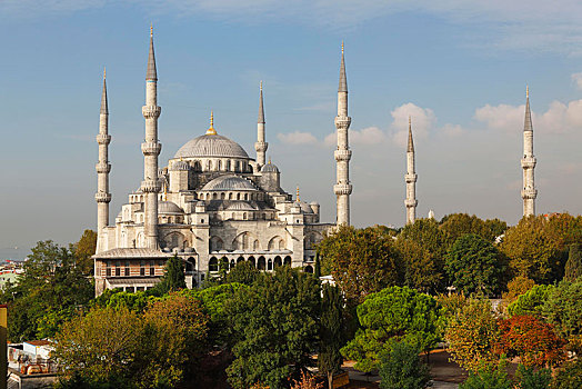 蓝色清真寺,苏丹,清真寺,藍色清真寺,伊斯坦布尔,欧洲,省,土耳其