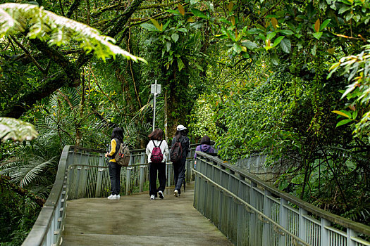 台湾新北市十分寮瀑布公园森林步道