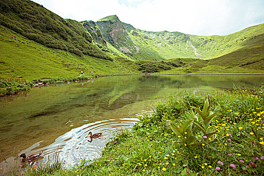 自然风光,湖