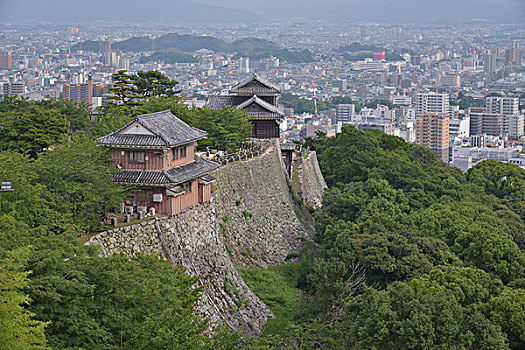 斑点,松山市,城堡,日本