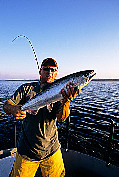 捕鱼者,抓住,大,三文鱼,乔治亚湾,布鲁斯半岛,安大略省,加拿大