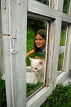 女孩,小猫,老,白色,窗户,草地