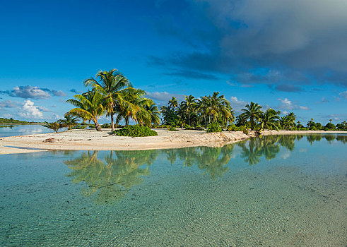 棕榈树,白沙滩,青绿色,水,土阿莫土群岛,法属玻利尼西亚,大洋洲