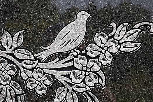 鸽子,纪念,纪念建筑,墓地,魁北克,加拿大