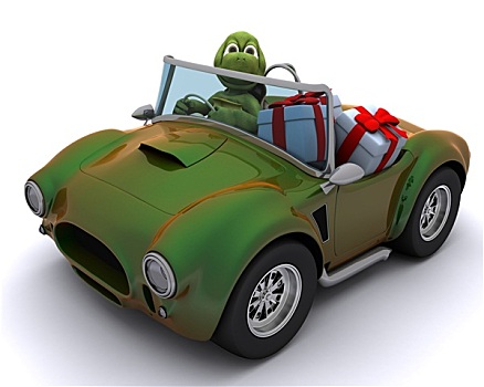 龟,驾驶,汽车,礼物