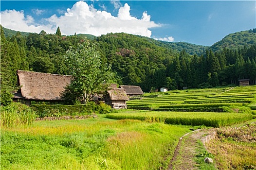 扇町,乡村