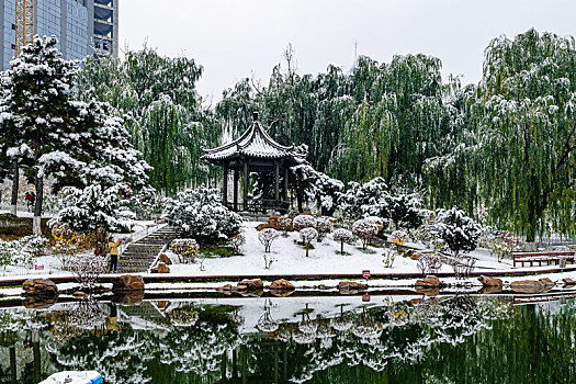 中国长春牡丹园雪后风景