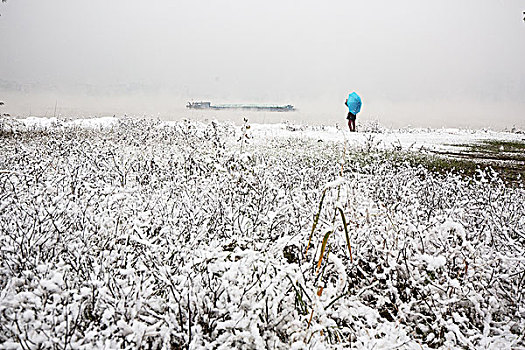 江边,雪中的等待