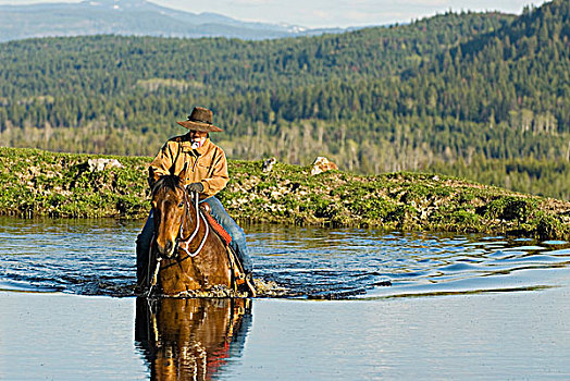女性,骑乘,湖,不列颠哥伦比亚省,加拿大