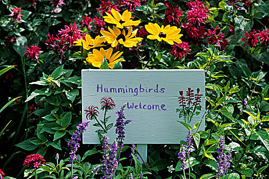 蜂鸟,欢迎标志,花园,马里恩县,伊利诺斯