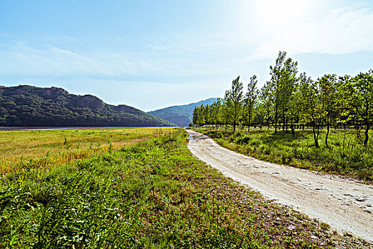 平原道路