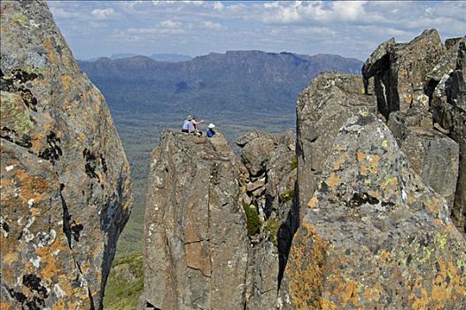 远足者,岩石,顶峰,山,东方,奥弗兰,摇篮山,国家公园,塔斯马尼亚,澳大利亚