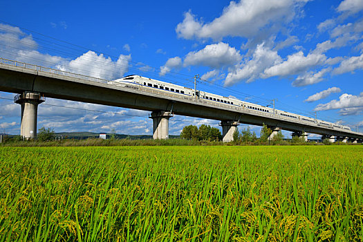 行驶在丰收田野的高铁列车