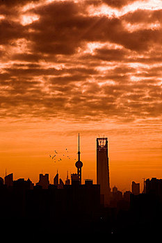 上海,早晨,东方明珠,在建的环球国际金融中心