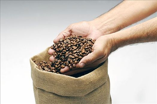 两只,手,满,咖啡豆