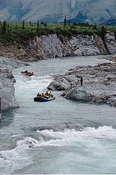 乘筏,河,河谷,育空,加拿大