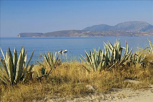 海滩,靠近,伯罗奔尼撒半岛,希腊