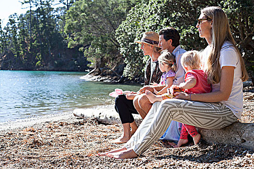 家庭,朋友,坐在树上,树干,海滩,新西兰