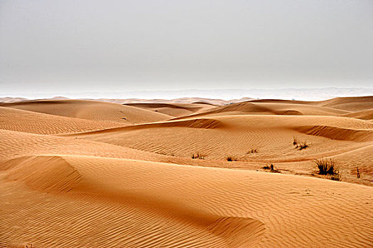 沙丘,迪拜,阿联酋