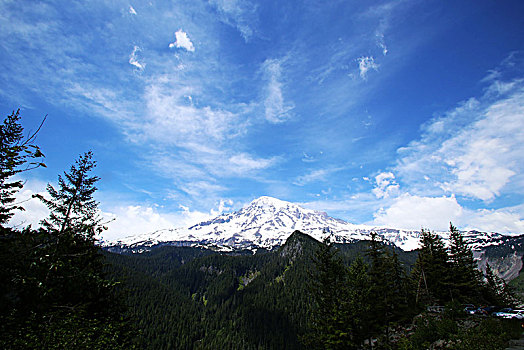 雷尼尔