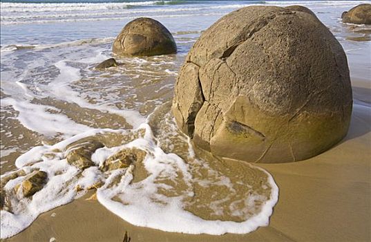 漂石,专注,海滩,奥塔哥,南岛,新西兰
