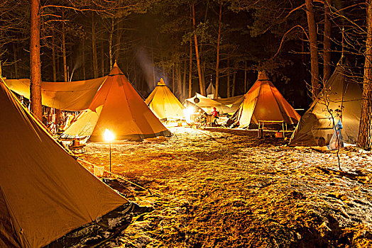 露营,照亮,树林,夜晚