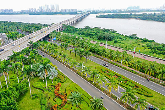 航拍海南海口国兴大道与滨江路道路街景,椰子树棕榈树等热带植物行道树