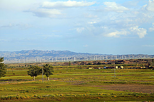 乌伦古河美景