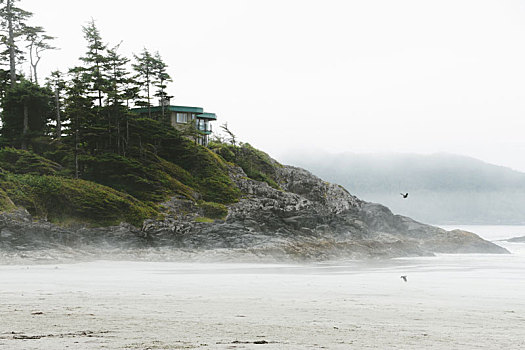 房子,悬崖,高处,海滩,雾